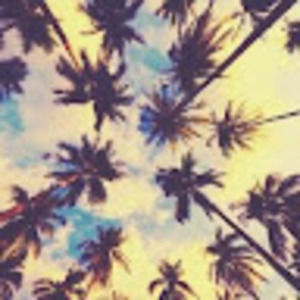 Meet your Posher, Joyce